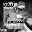 Don F.I.N.I.C.E.