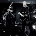 Don McAvoy &amp; The Great Whatever ®