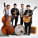 Eclectic Vinyl Orchestra