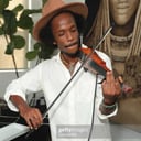 Electric violin