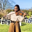 Elegant Fiddle