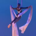 Elite Aerial Silks