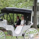Elizabeth Van / wedding Planner