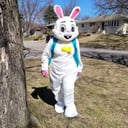 Eva's Face Painting &amp; character visits