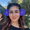 Fairy Face Paint