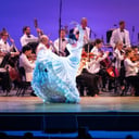 Fanny Ara Flamenco Dance Company