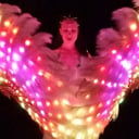Fire Show, LED Wings Show, Fire Fans