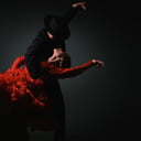 Flamenco Arts International