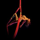 Seelie Circus