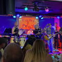 Fowl Play Band