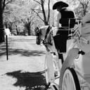 Galveston Carriage Tours