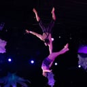 Elova Entertainment