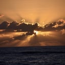 Halei Anthony’s Photography