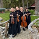 Harmony Strings