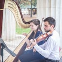 Higgins Harp Studio
