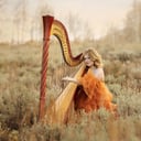 Honeysuckle Harp