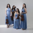 Impulse Strings