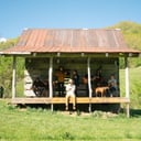 Indie Country / Americana Wedding Band!