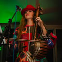 Iranian music