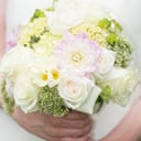 Janine Wilks Randolph Photography