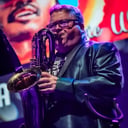 Jason Ward and the West End Mules