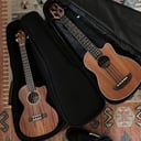 Jones, The Motivated Ukulele Player