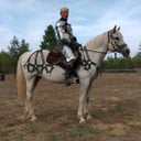 Knightly Ventures