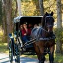 Lizzie's Legacy, LLC