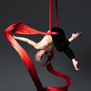 Logan Aerialist