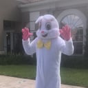 Lucky Bunny