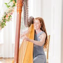 Lune River Harp Studio