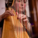 Mahogany and Strings Harp
