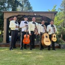 Mariachi Internacional Los Gallos