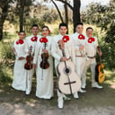 Mariachi Tierra Mia
