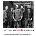 MaryJane's Breakdown
