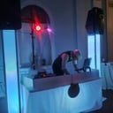Master of Ceremonies LLC