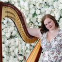 Melody Stein Harpist, LLC