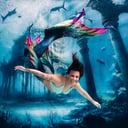 MerMandy's Professional Mermaid Services