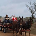 Mississippi Carriage Company