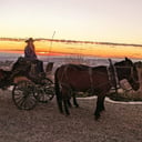 Motherlode Coach &amp; Carriage