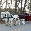 New England Carriage Company