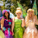 OC Party Company