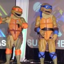 Ohio Turtle Fan