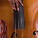 Orchestral and R&amp;B Bassist