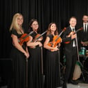 Palmetto Strings