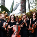 Paradise Strings