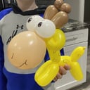 Party Animal Balloons LLC