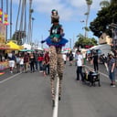 Peg &amp; Drywall Stilt Walker