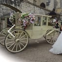 Pike Rd Percheron and Carriage Service