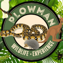 Plowman Wildlife Experience